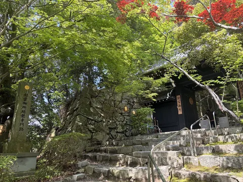 八幡山城 4