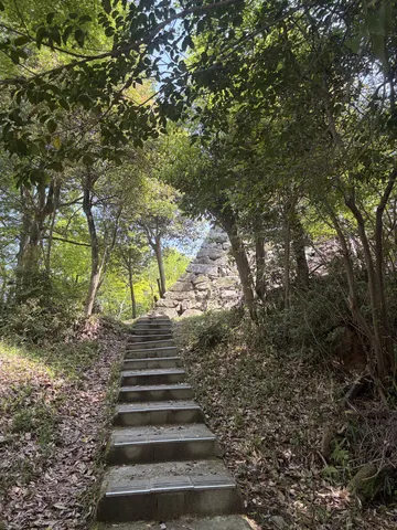 八幡山城 6