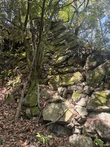 八幡山城 7