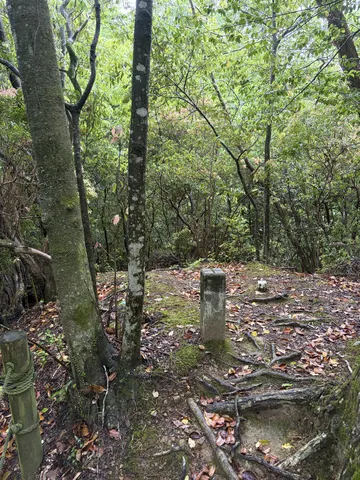 芥川山城 5