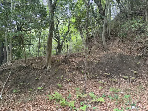 飯盛城 8