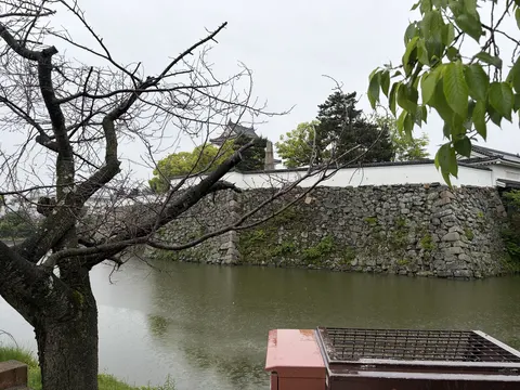 岸和田城 5