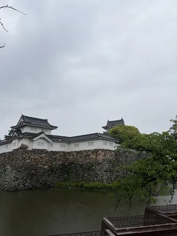 岸和田城 6