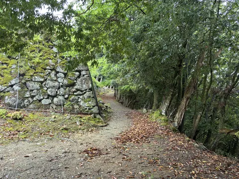 出石城・有子山城 6