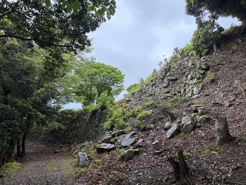 出石城・有子山城 8