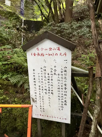 出石城・有子山城 10