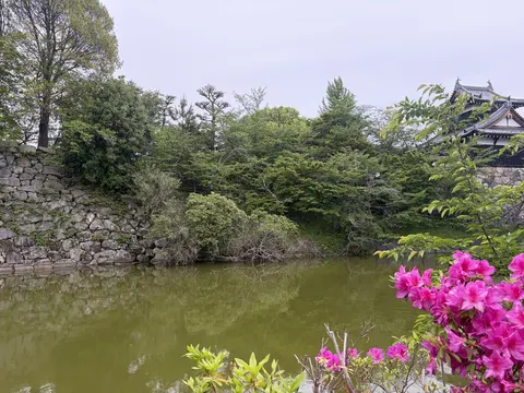 大和郡山城 6