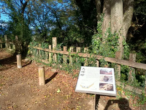 新田金山城 7