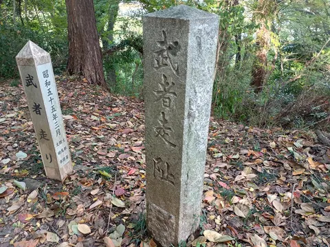新田金山城 9