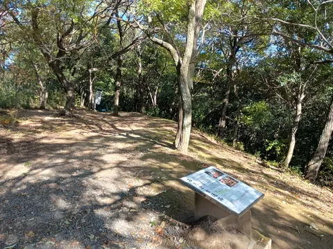 新田金山城 10