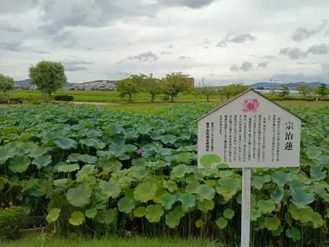 備中高松城 2