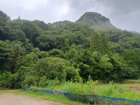 新高山城