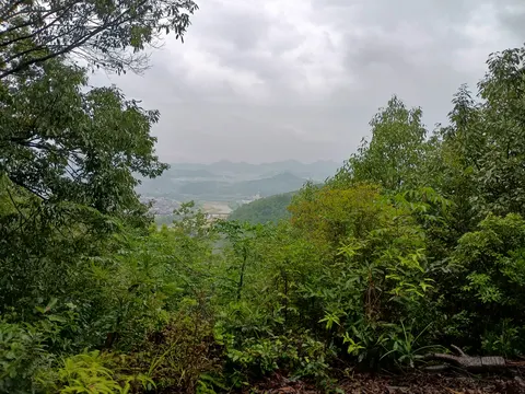 新高山城 3