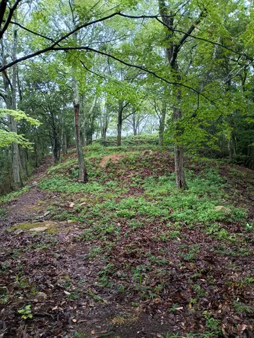 新高山城 4