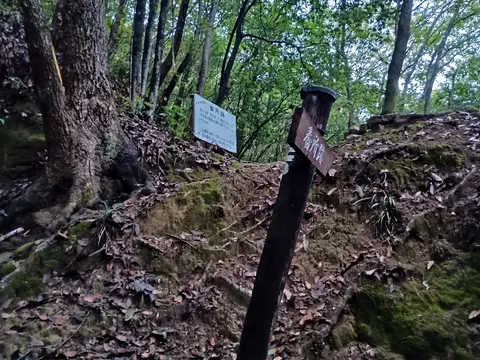 新高山城 6