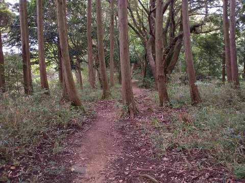 大内氏館・高嶺城 8