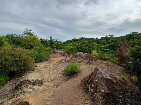 引田城 4