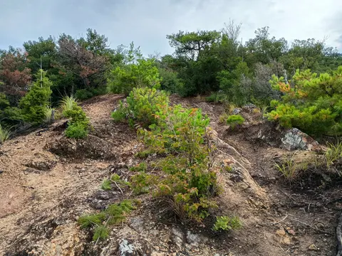 引田城 7