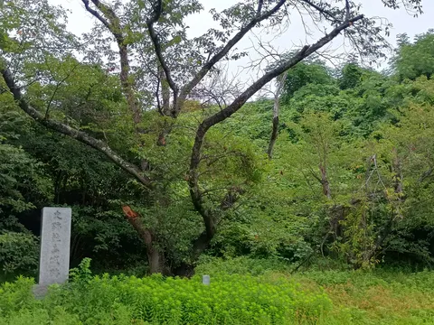 能島城 6