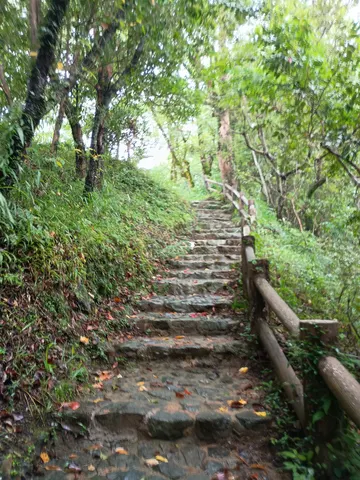 岡豊城 5