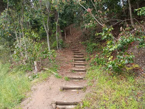 水城 5