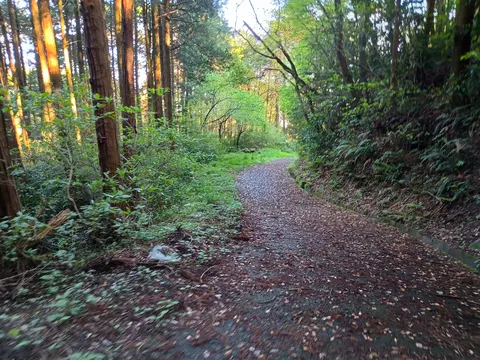 基肄城 8