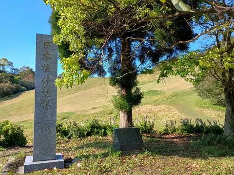 基肄城 9
