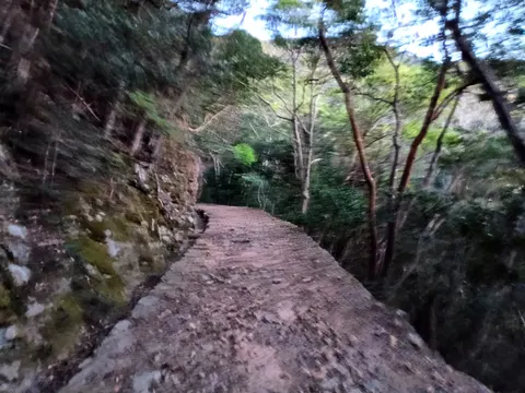 金田城 5