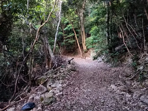 金田城 7