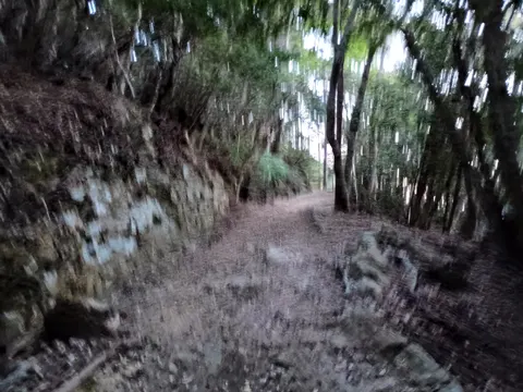 金田城 8