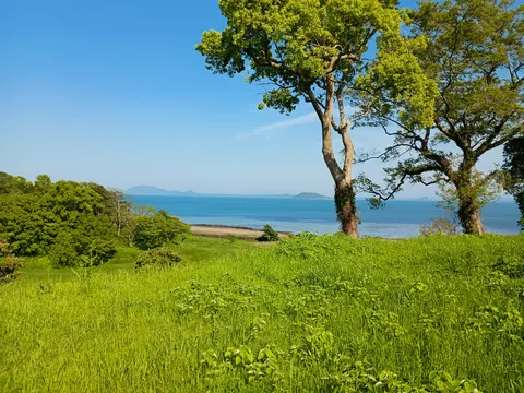 原城 5