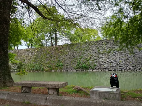 八代城 4