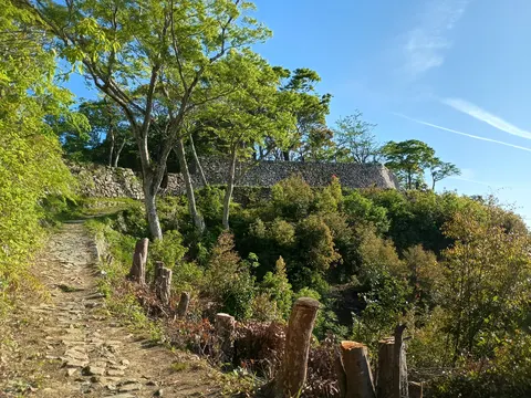 佐伯城 5