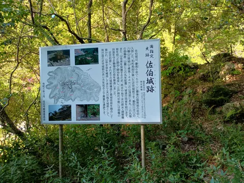 佐伯城 6