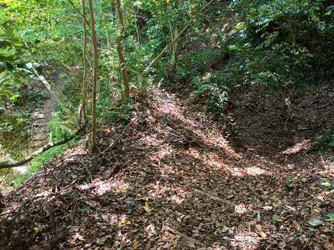 志布志城 8