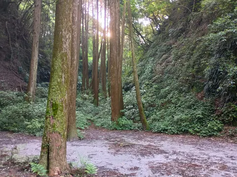 知覧城 5
