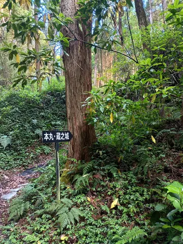 知覧城 9