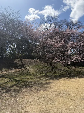 佐倉城 6