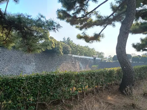 江戸城 5