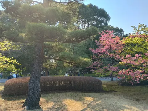 江戸城 8