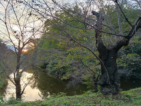 上田城 3
