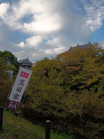 上田城 5