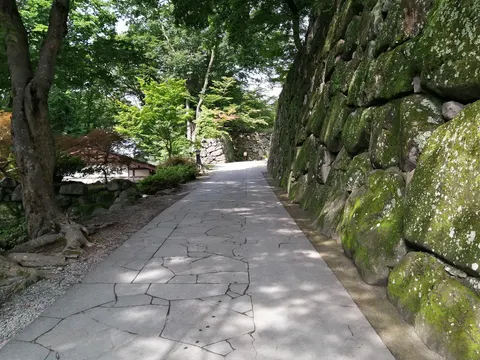 小諸城 5