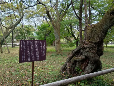 高遠城 7