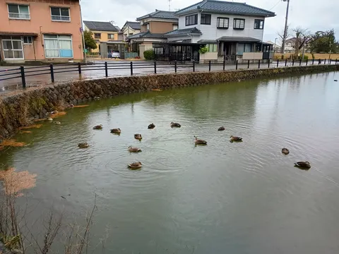 新発田城 5