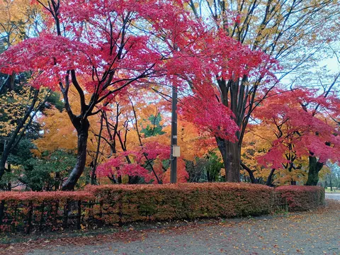 高岡城 6