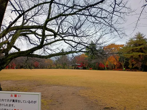 高岡城 7