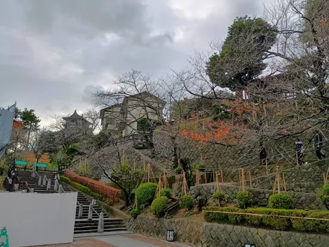 丸岡城 2