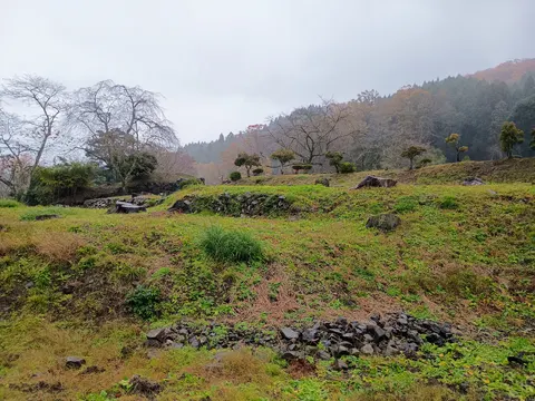 一乗谷朝倉氏遺跡 4