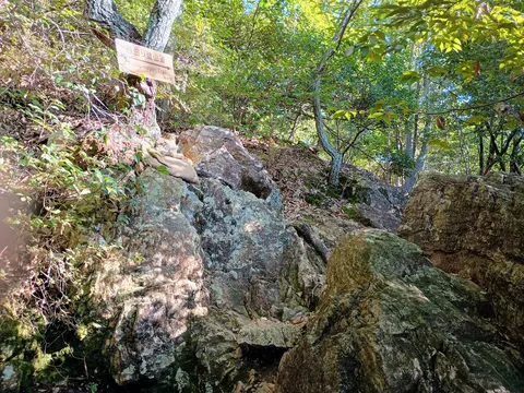 岐阜城 5